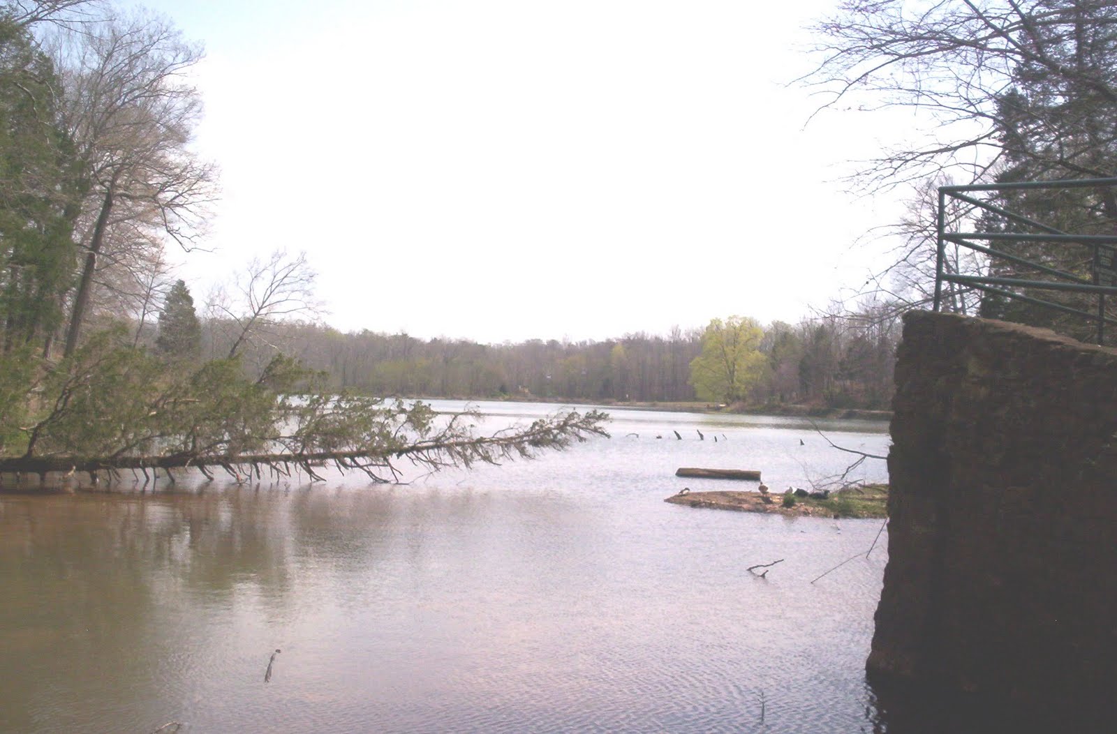DUNBARCAVENATURALAREAPARKPICTURESAMERICA DUNBAR CAVE PARK LAKE PICTURES 2
