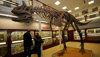 Esqueleto Carnotaurus