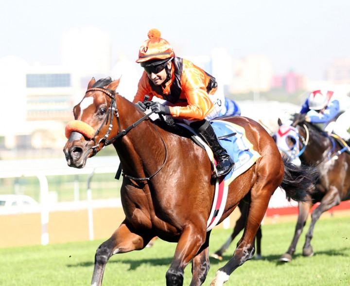 Abashiri Abashiri - Horse Racing - Vodacom Durban July 2018