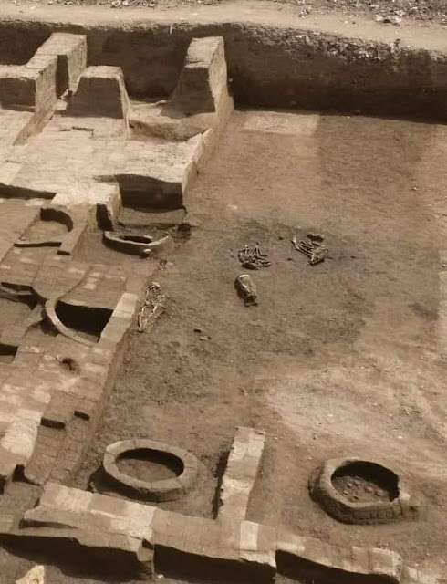 Ptolemaic bread ovens discovered in Egypt's Heliopolis