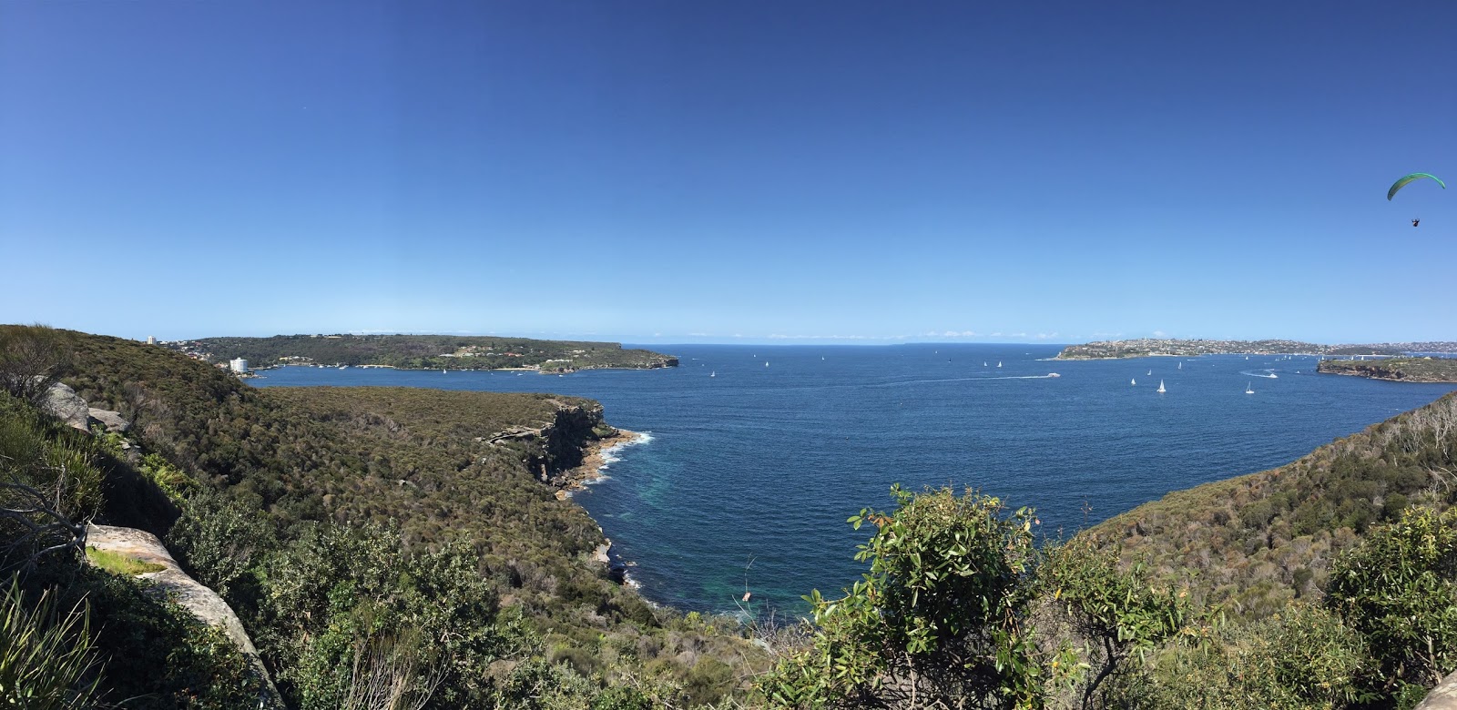 Goin' Feral One Day At A Time Spit Bridge to Manly, Sydney Harbour