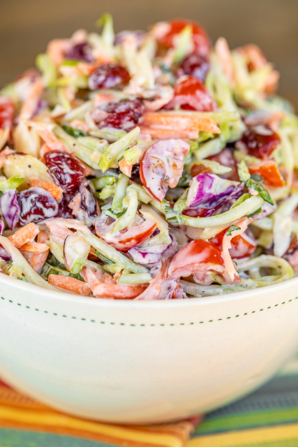 Broccoli Cranberry Slaw - SO easy and delicious! Recipe from our favorite cafe/bakery. LOADED with veggies! Broccoli slaw mix, fresh parsley, green onions, dried cranberries, almonds, grape tomatoes tossed in a homemade dressing of mayonnaise, seasoned salt, apple cider vinegar, and sugar. Can make in advance and refrigerate for later. Perfect for cookouts, potlucks, and tailgating! I can see why this is such a popular side dish at the cafe! #broccoli #sidedish #salad #slaw broccoli slaw in a bowl