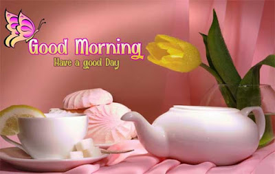 Good Morning Status Good Morning Status for Whatsapp