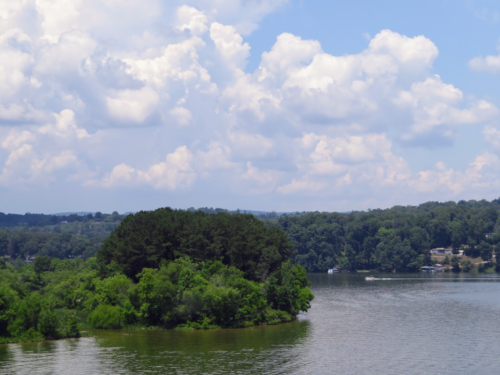 Big Daddy Dave The Old Capital Public House Kingston Tennessee