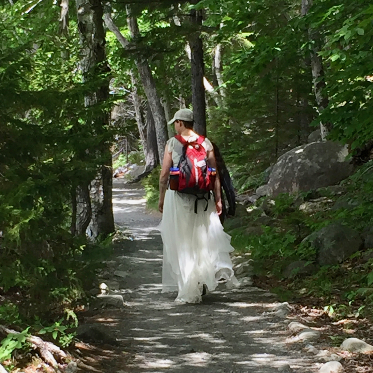 A Proper Bostonian Postcards from Maine Jordan Pond, But Popovers