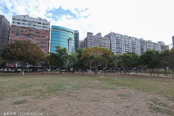 《台中.北屯》敦化公園|美好書席|親水生態蓮花池|綠草坪|親子休閒好去處 《台中.北屯》敦化公園|美好書席|親水生態蓮花池|綠草坪|親子休閒好去處