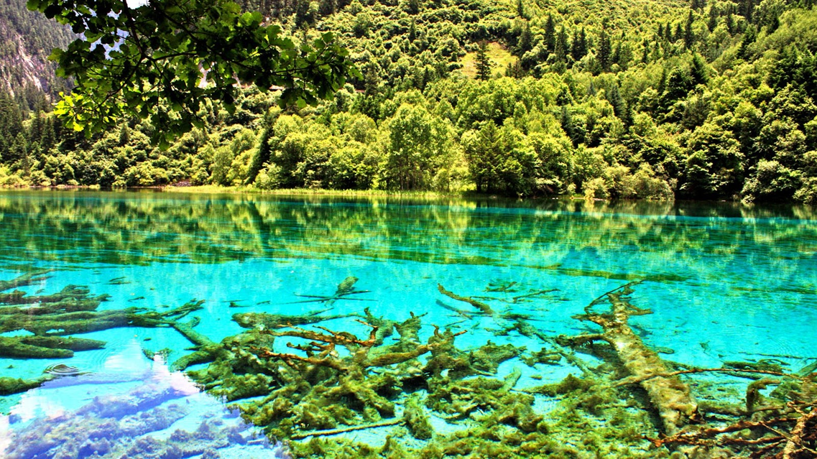 Travel Trip Journey Five Flowers Lake China