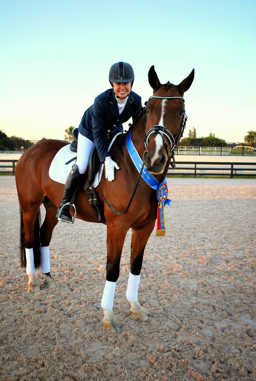Sunrise Farms Sport Horses Nan Troutman's Un Ami wins Region 3 Freestyle
