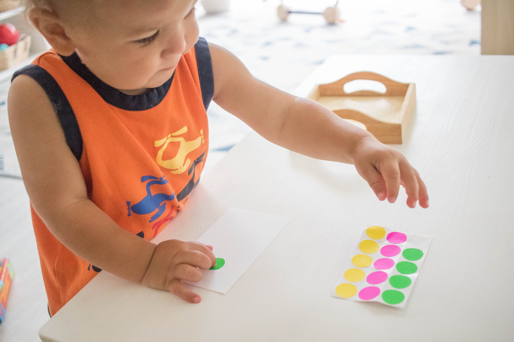 4 Montessori Art Trays at 18 Months 