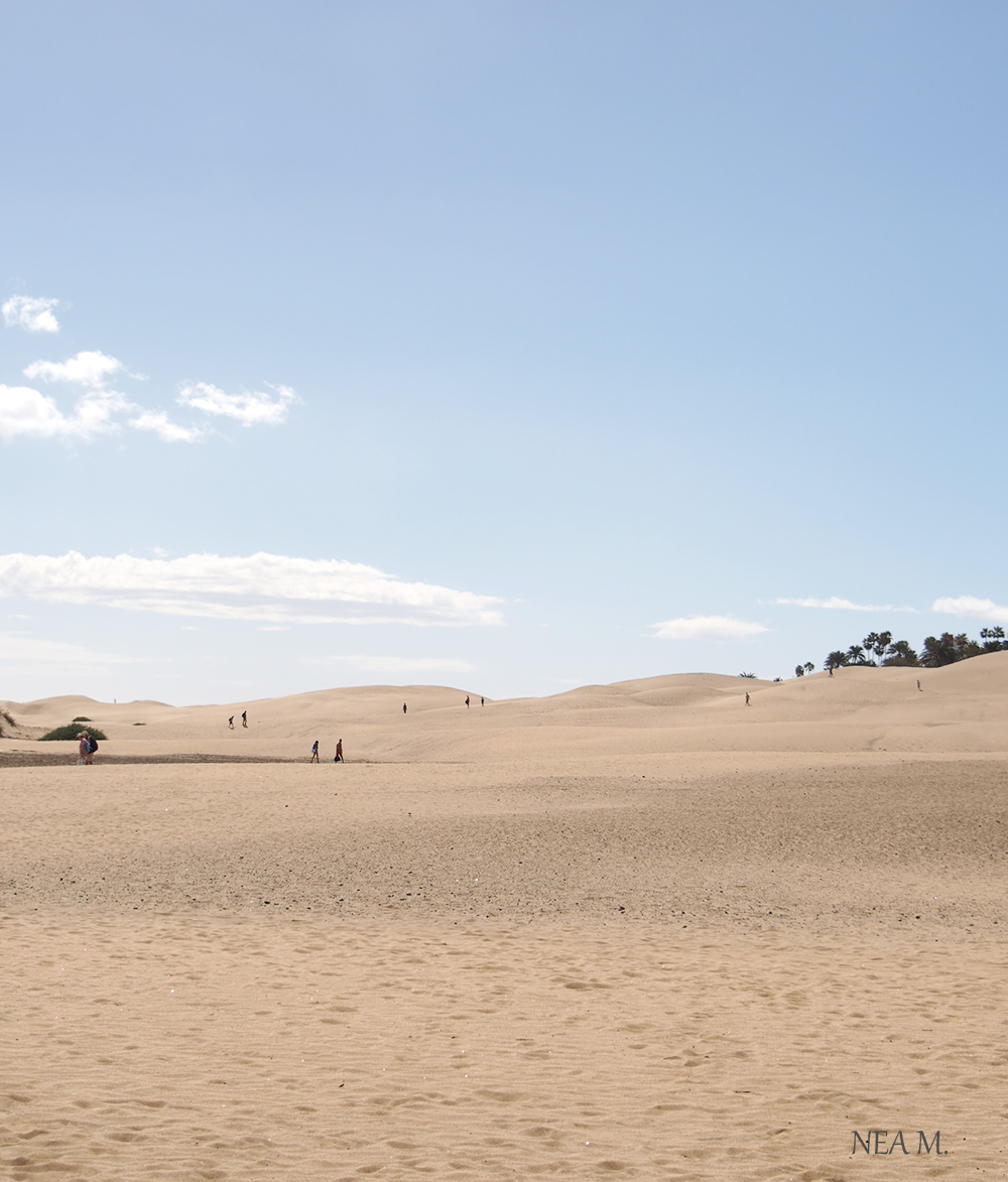 dunes