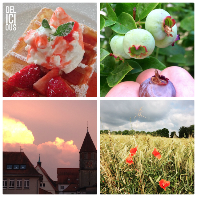 Das war mein Juni - der Insta-Monatsrückblick von (c) schoenstebastelzeit.de