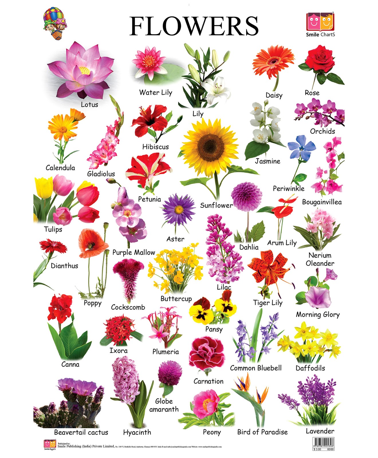 flower pictures and names flower pictures and names