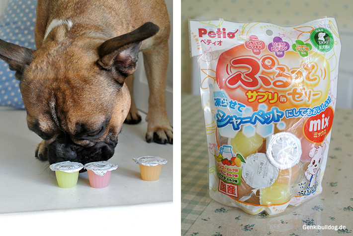 Fruchtgummi Rezept für Hunde Fruchtgummi Rezept für Hunde