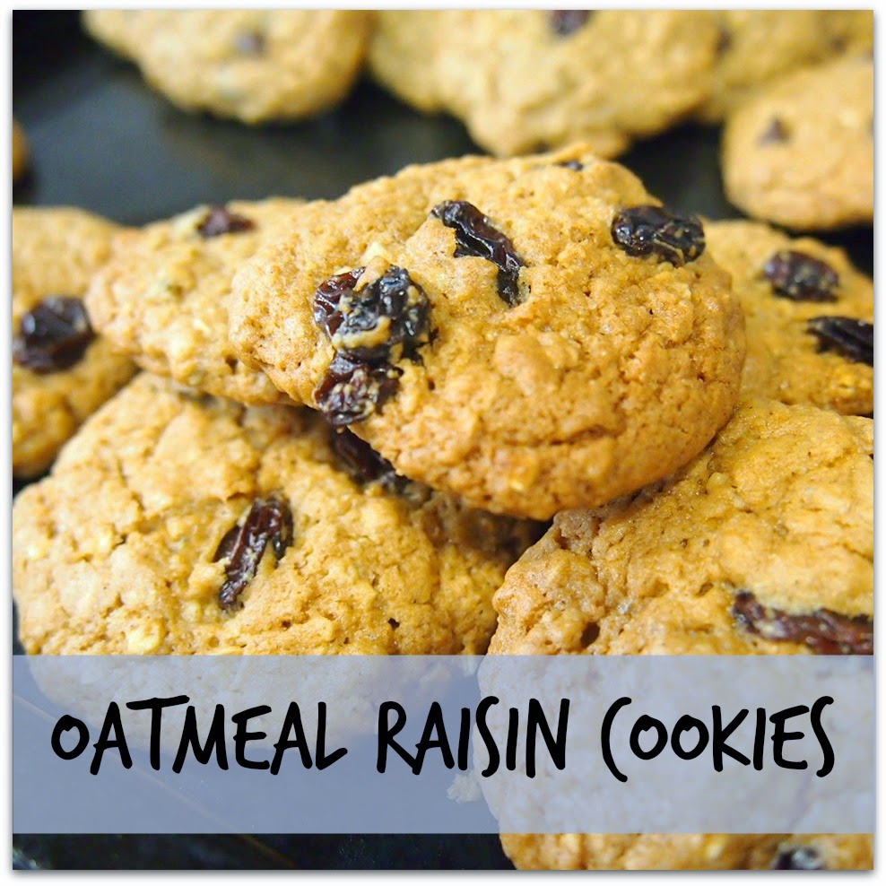 Lactation Oatmeal Raisin Cookies The Chill Mom