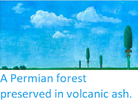 https://sciencythoughts.blogspot.com/2012/02/permian-forest-preserved-in-volcanic.html