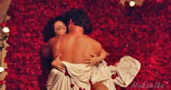 16.gif