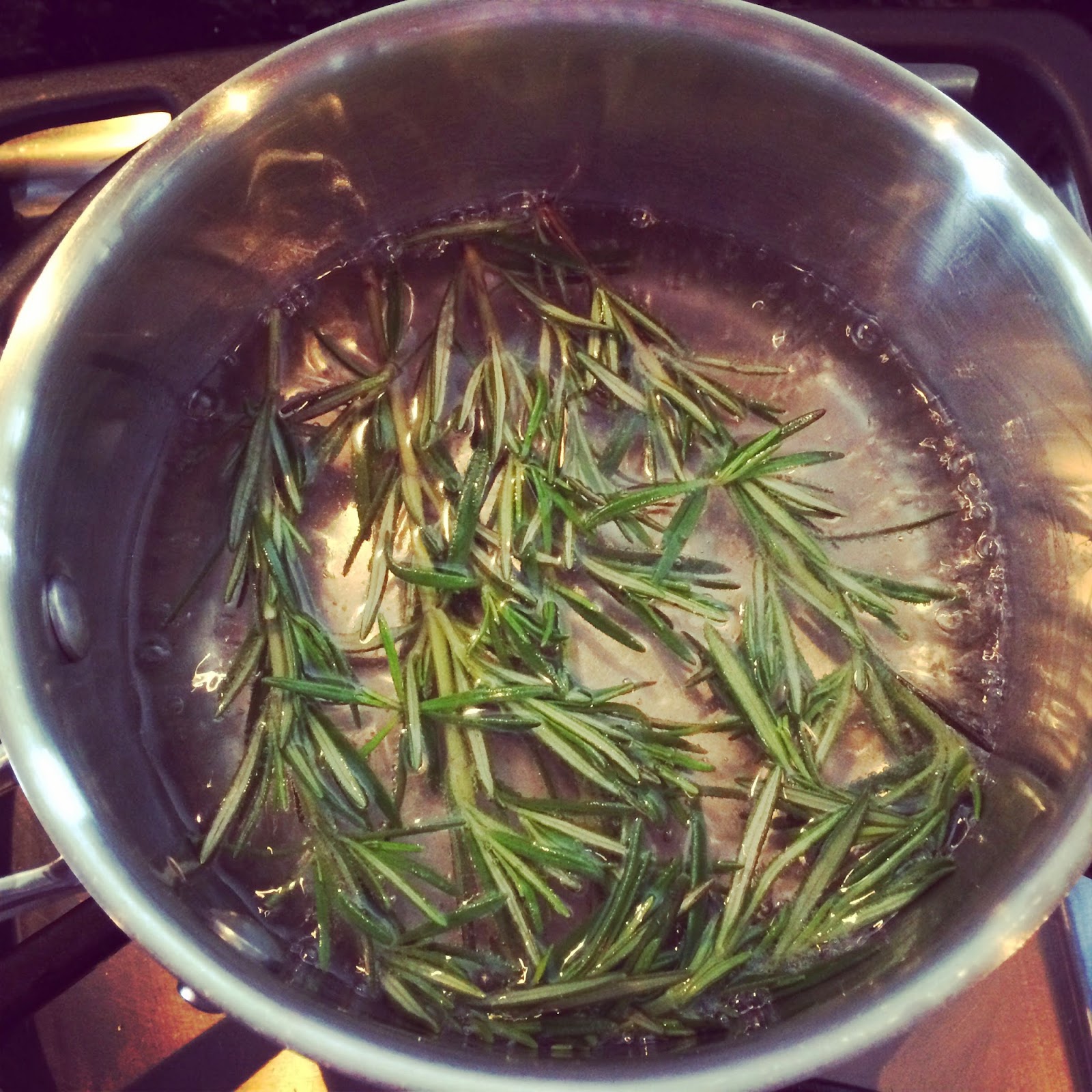 Lekker & Liquor Liquor Rosemary Gin Rickey