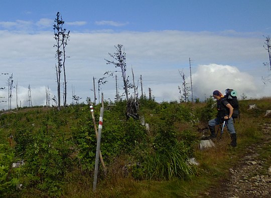 Na stokach Glinne (1034 m n.p.m.) - potężnej, mocno rozczłonkowanej góry w Paśmie Baraniej Góry.