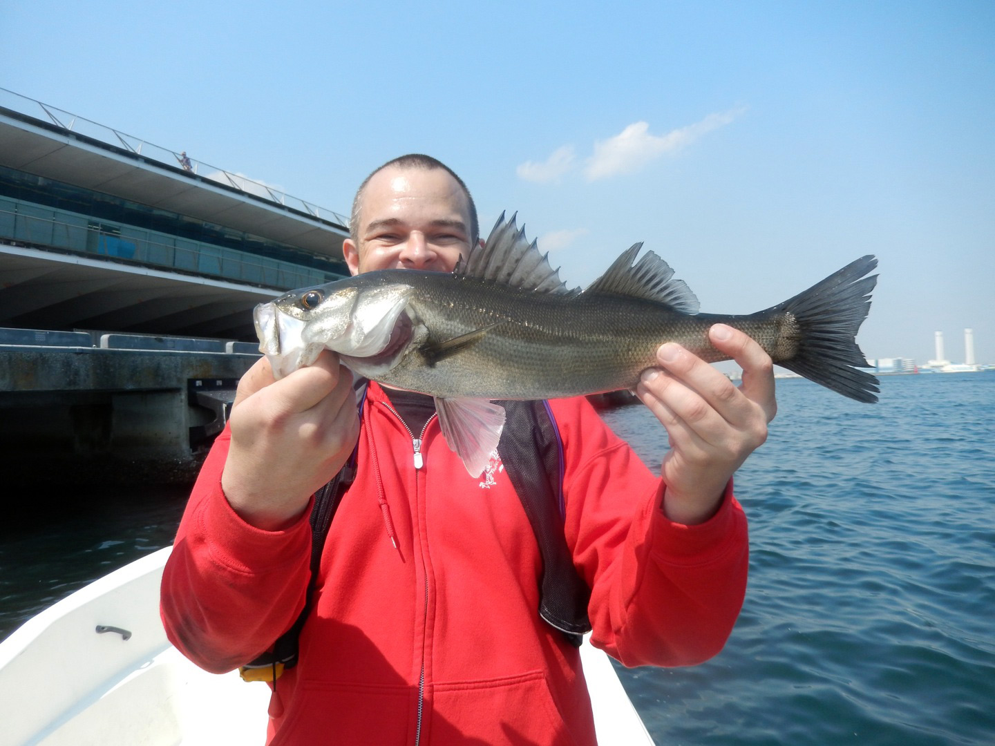 Suzuki (Japanese Seabass) Yokohama, April 3rd, 2014 catch some fish