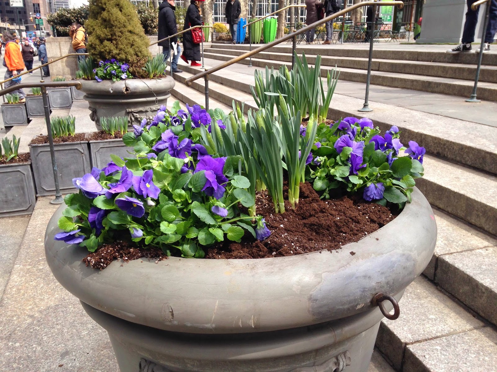Bryant Park Blog: Horticulture Update: Spring Colors Suddenly Appear