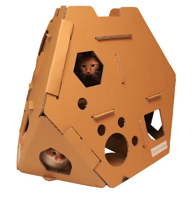 Amazon Cat House On The Kings Amazon Cat House On The Kings