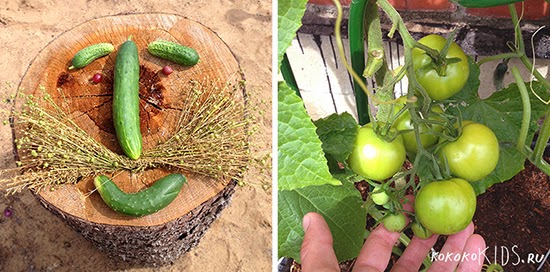Великолепные идеи для детей на дачном участке.