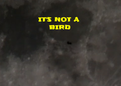This UFO is not a bird as we cannot see any wings flapping throughout the video.