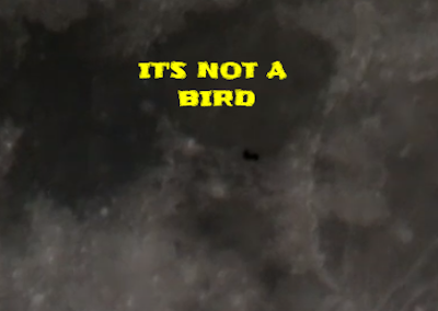 This UFO is not a bird as we cannot see any wings flapping throughout the video. This UFO is not a bird as we cannot see any wings flapping throughout the video.