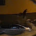 BAHIA / Com relâmpagos e trovões, chuva alaga ruas e arrasta carros, motos e barracas em Vitória da Conquista (Vídeo)