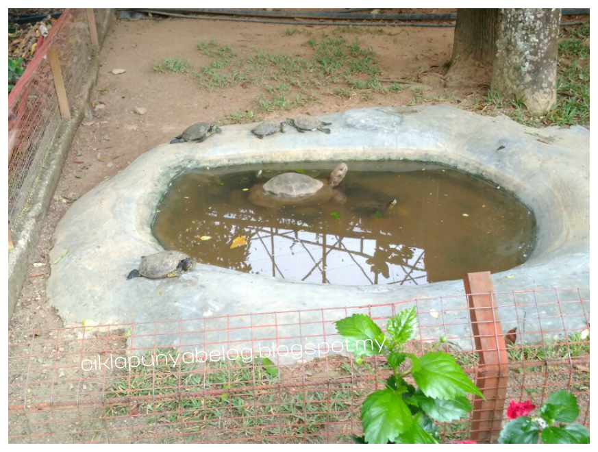 Taman Buaya dan Reakresi, Melaka : Tempat beriadah terbaik untuk seisi keluarga. Sambil beriadah, sambil tengok buaya! Taman Buaya dan Reakresi, Melaka : Tempat beriadah terbaik untuk seisi keluarga. Sambil beriadah, sambil tengok buaya!