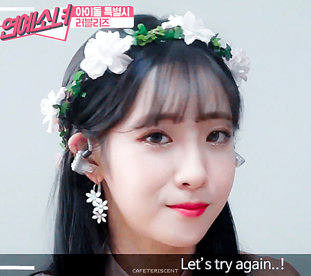 11.gif