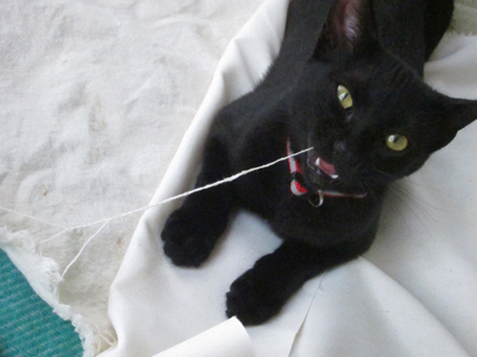 99\u00a2 Store Proofing Basket | Root Simple