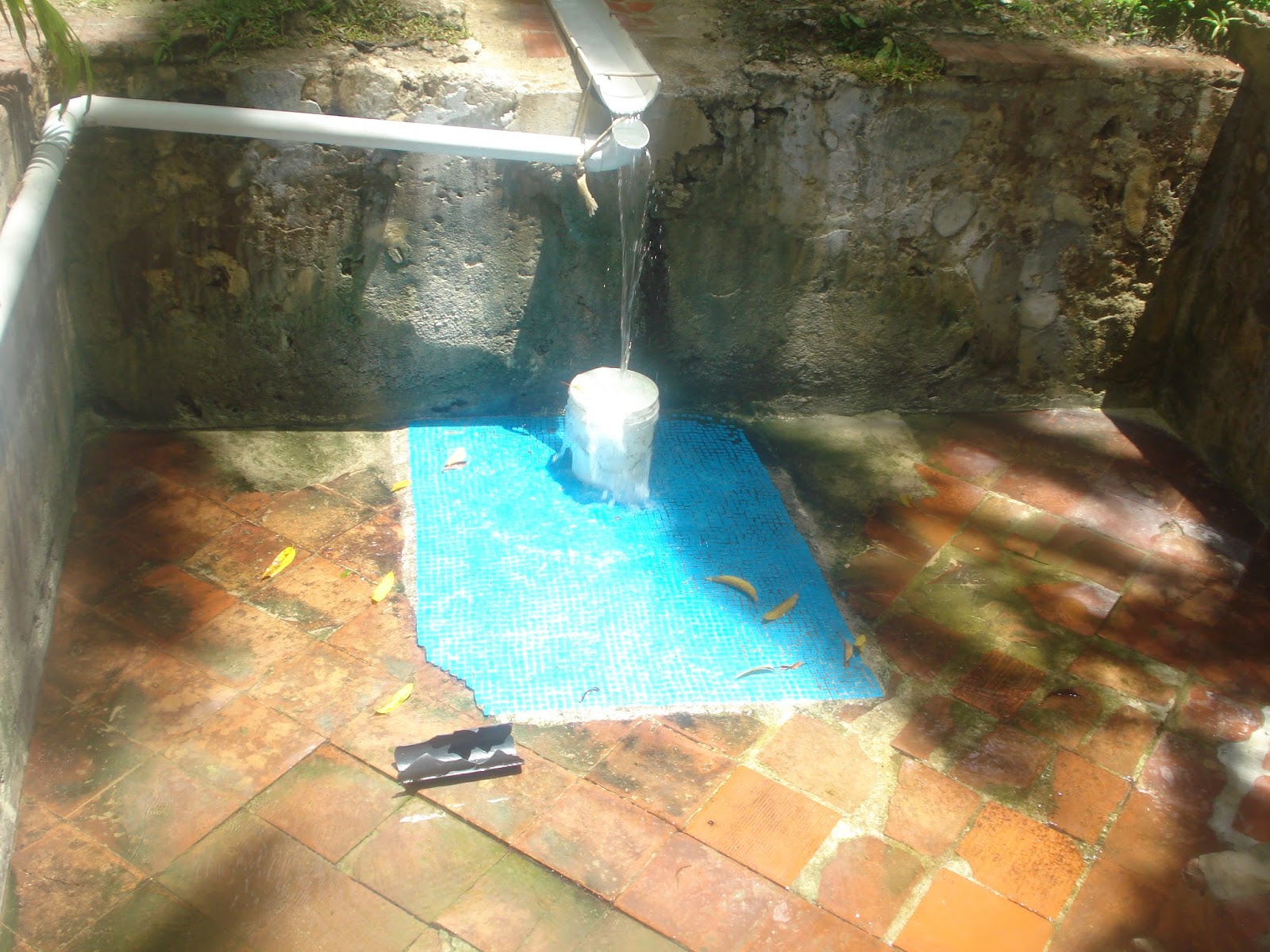 Hidden Treasure #2...