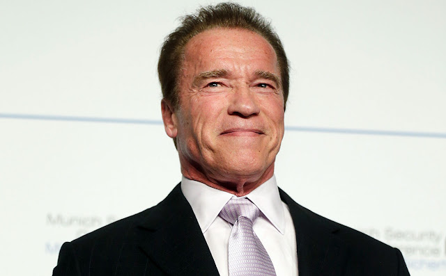 Download Arnold Schwarzenegger Body Builder Wallpaper
