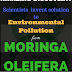 Latest Discovery! Scientists formulate an environmental pollution product from Moringa