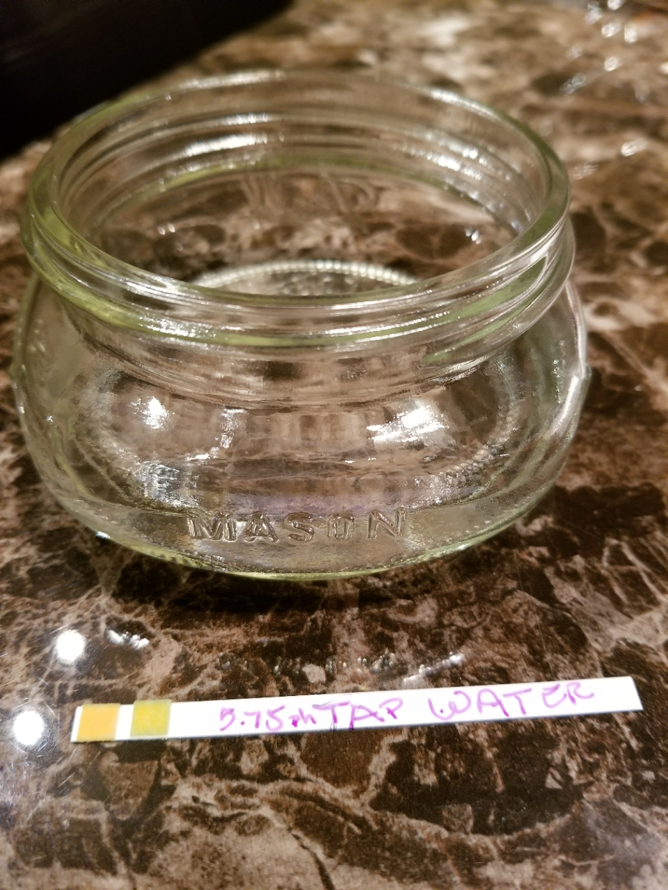 My BodyMy TempleMy Tech Product Review HealthyWiser pH Test Strips