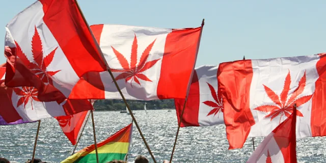 Image Attribute: Canada-Marijuana Rally / FlickrCC / cannabisculture