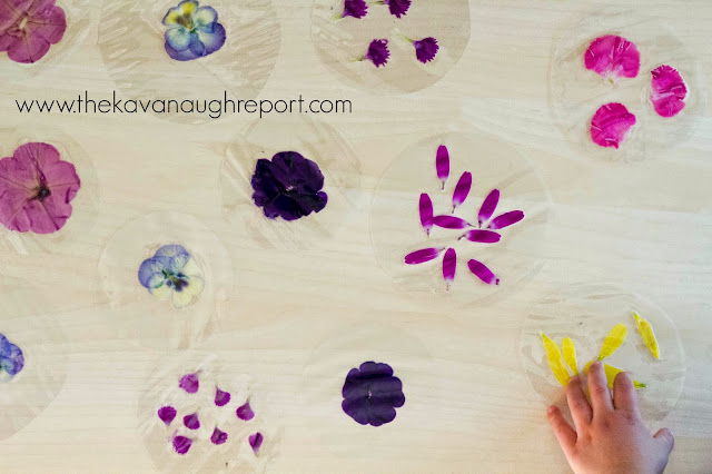 Laminated Flower Exploration for Babies 