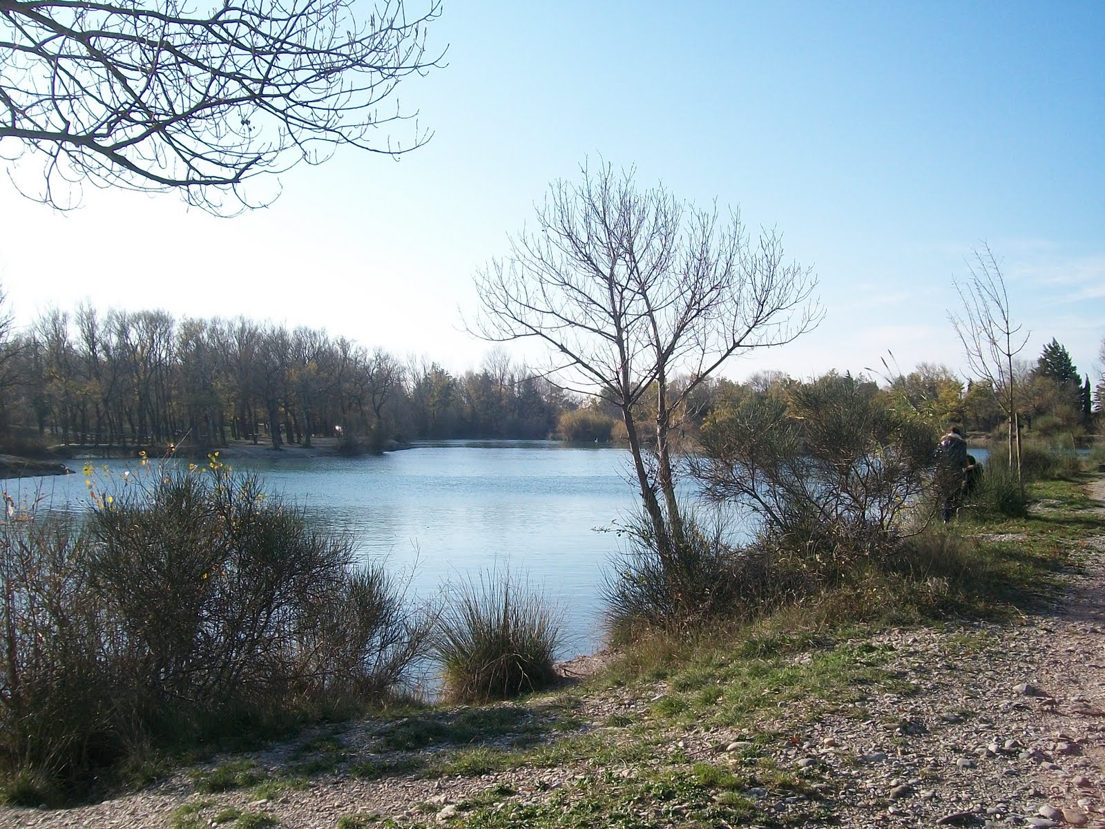 ecolechevalpaysage PAR UNE BELLE APRESMIDI AU LAC DE SAINTE CECILE