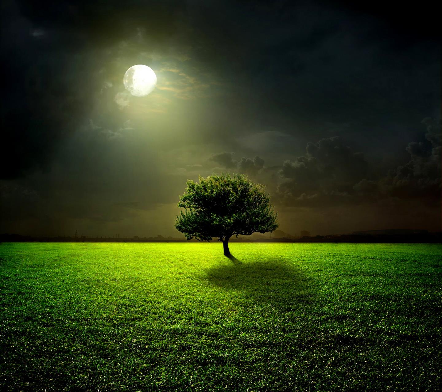 夜晚的草原素材-夜晚的草原图片-夜晚的草原素材图片下载-觅知网