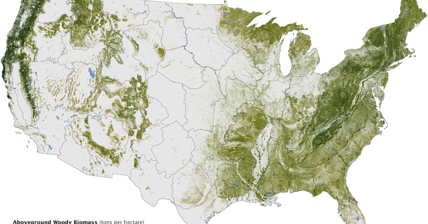 Life among the Tall Pines: Map of trees
