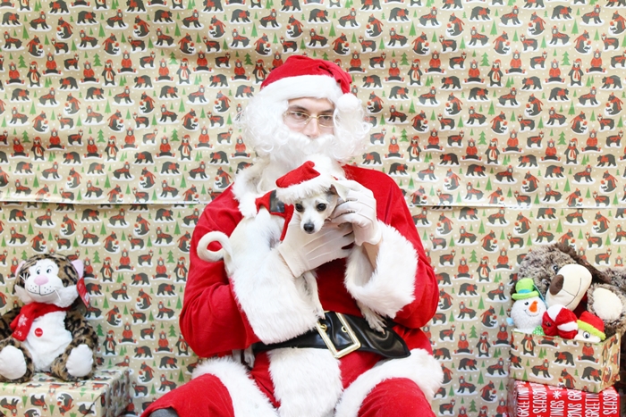 Santa Happy meets Santa Claus at PetSmart! #gatheraround