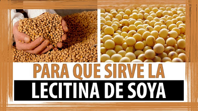 Como se toma la lecitina de soja para bajar de peso