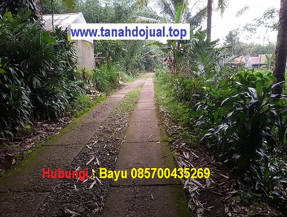 tanah dijual purwokerto adol lemah pwt