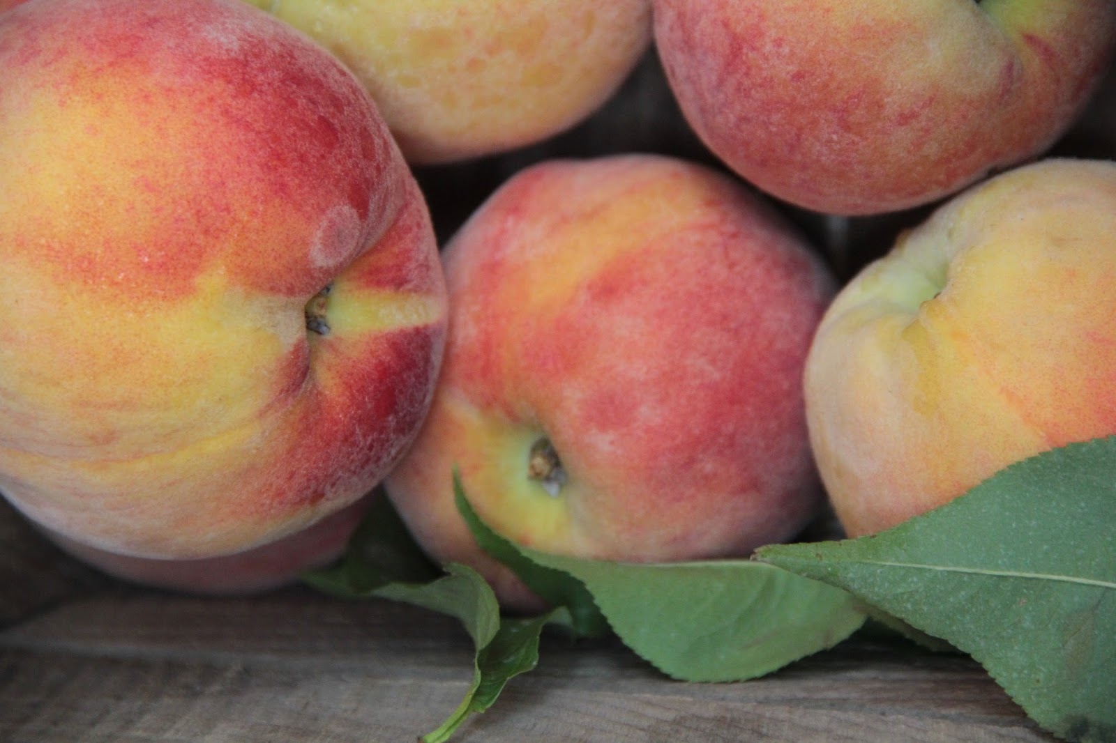 Cheverly Community Market This week at the Market Benny's Fruit Stand/Rebert Farm