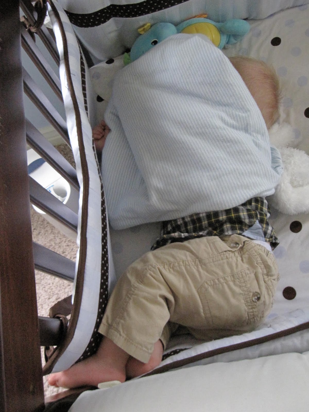 Reynolds Family Crib fun and bite marks