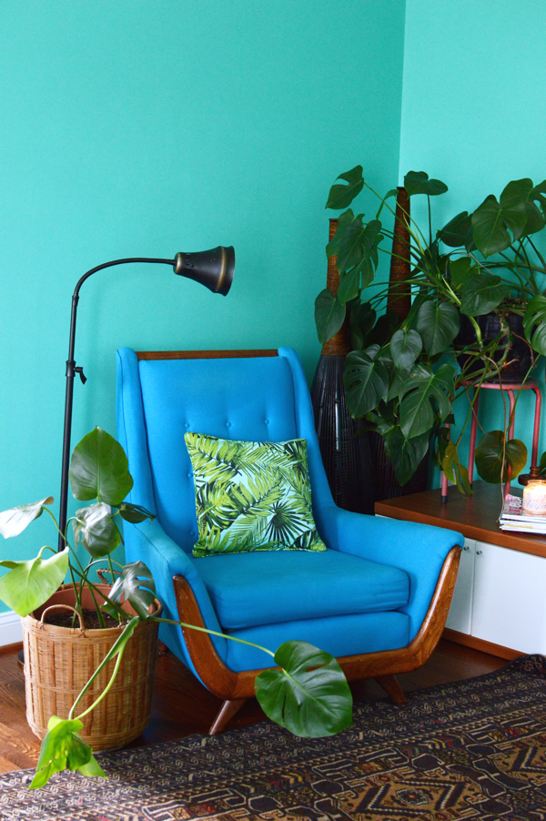 How to Root a Stem Cutting from a Monstera Deliciosa in Water.