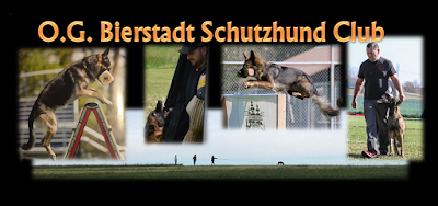 O. G. Bierstadt Schutzhund Club 