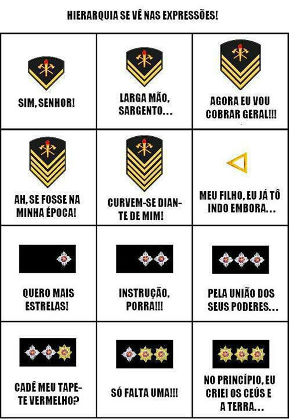 Consciência Política Hierarquia Policial Militar Consciência Política Hierarquia Policial Militar