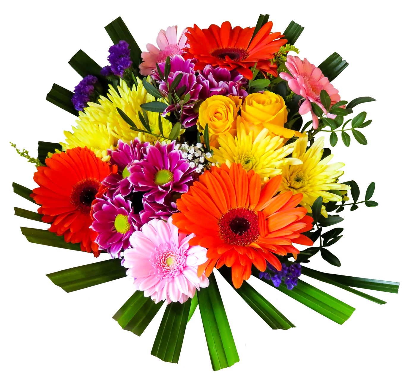 Png Colourful Flowers Hd Shan Studio